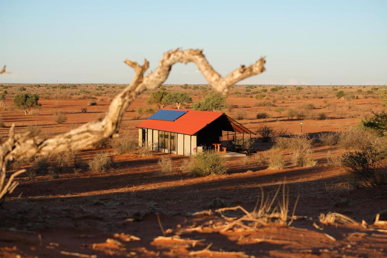 מריינטל Kalahari Anib Camping2Go מראה חיצוני תמונה